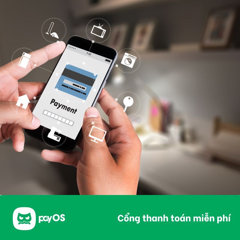 dich-vu-payout-la-gi.jpg