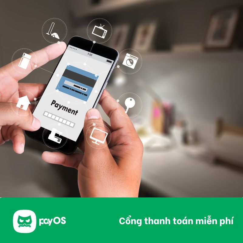 payout, payout là gì, dịch vụ payout, dịch vụ payout là gì, pay out