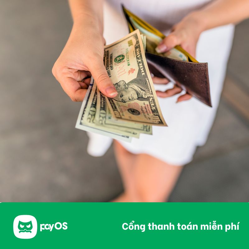 payout, payout là gì, dịch vụ payout, dịch vụ payout là gì, pay out