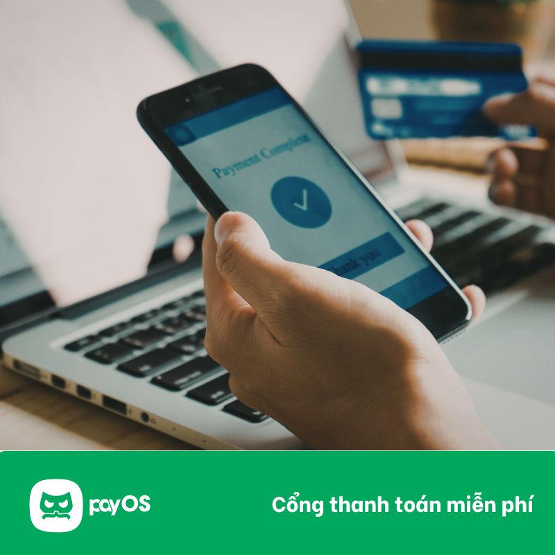 dịch vụ chi hộ, dịch vụ chi hộ tự động, top dịch vụ chi hộ, các dịch vụ chi hộ, dịch vụ chi hộ tốt nhất