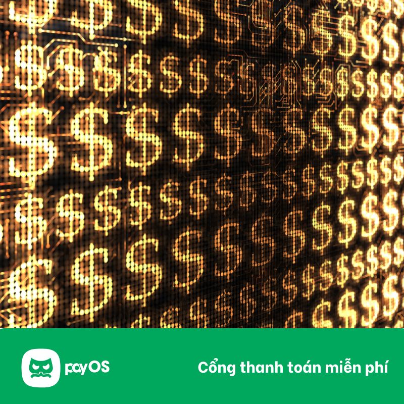 dịch vụ chi hộ, dịch vụ chi hộ tự động, top dịch vụ chi hộ, các dịch vụ chi hộ, dịch vụ chi hộ tốt nhất